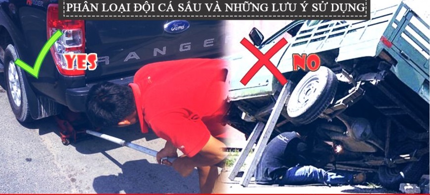 Phân loại đội cá sấu và lưu ý